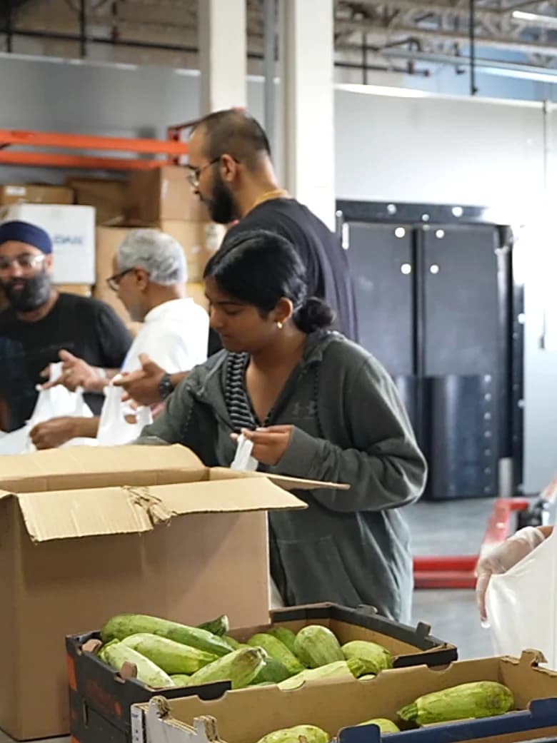 Volunteers of all ages packing grocery hampers from boxes of vegetables
